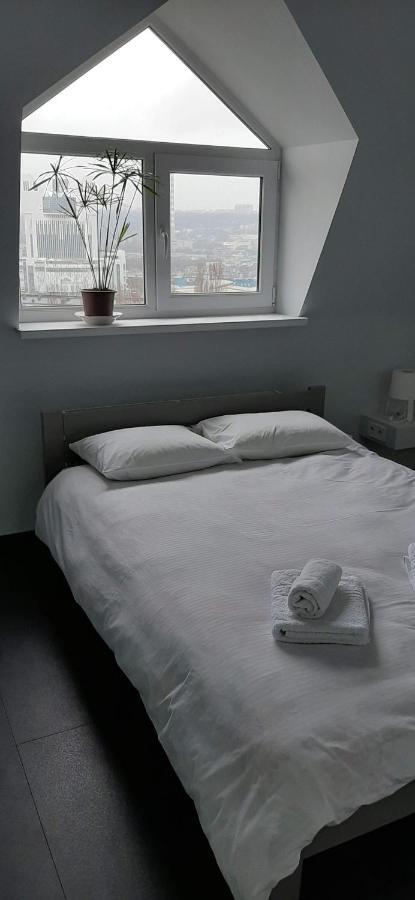 Modern Apartment In The Center Of Town 基希讷乌 外观 照片